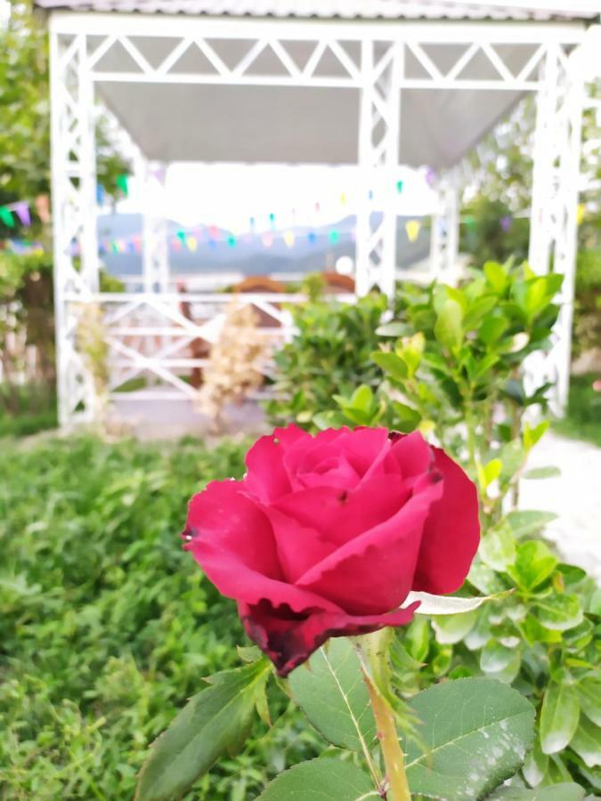 Bliss Inn Boutique Hotel Gabala Esterno foto