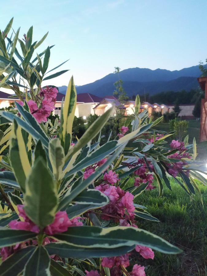 Bliss Inn Boutique Hotel Gabala Esterno foto
